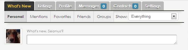 BuddyPress Profile: Change Default Nav Menu Tabs and Sub Items